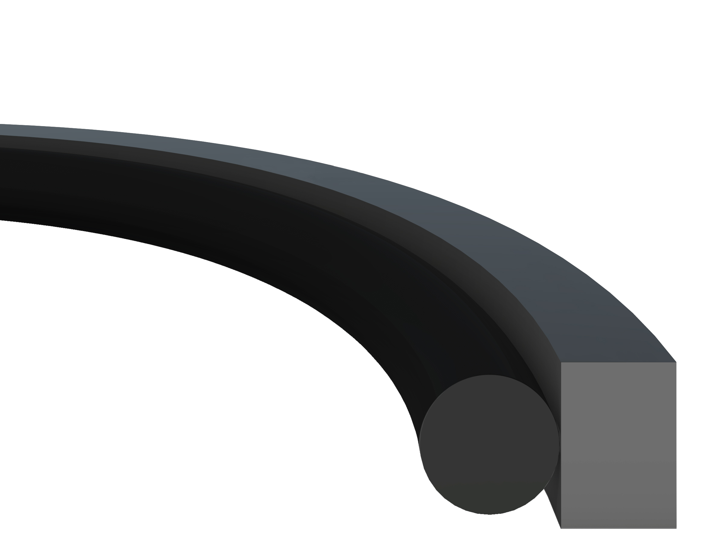 Oring Energized Seal 2