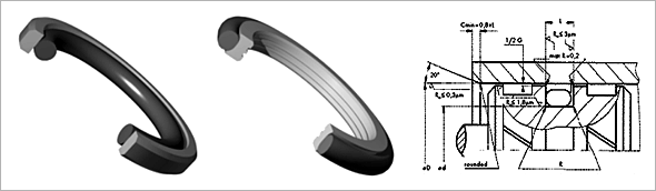 Oring Energized Seals